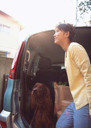 自動車の車検をできるだけ安く済ませる